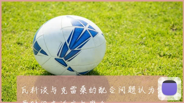 瓦科谈与克雷桑的配合问题认为需要时间来适应与磨合