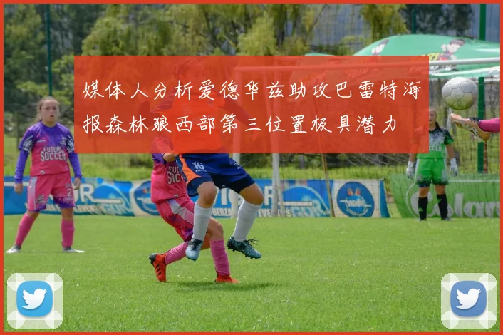 媒体人分析爱德华兹助攻巴雷特海报森林狼西部第三位置极具潜力