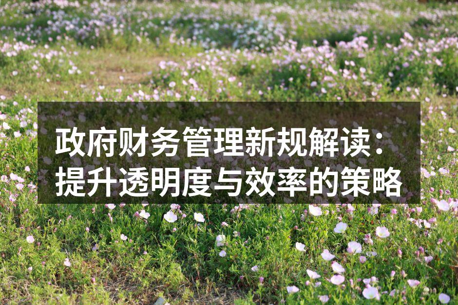 政府财务管理新规解读：提升透明度与效率的